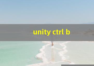 unity ctrl b